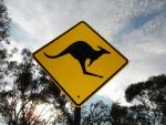 Une ann�e au pays des kangourous!