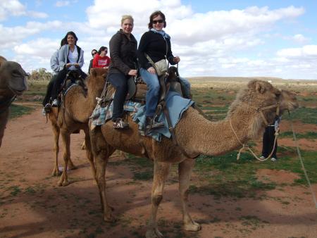 Le voici le DrOmAdAiRe