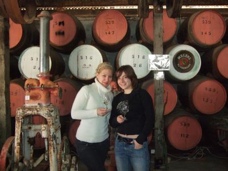 D�gustation de vins